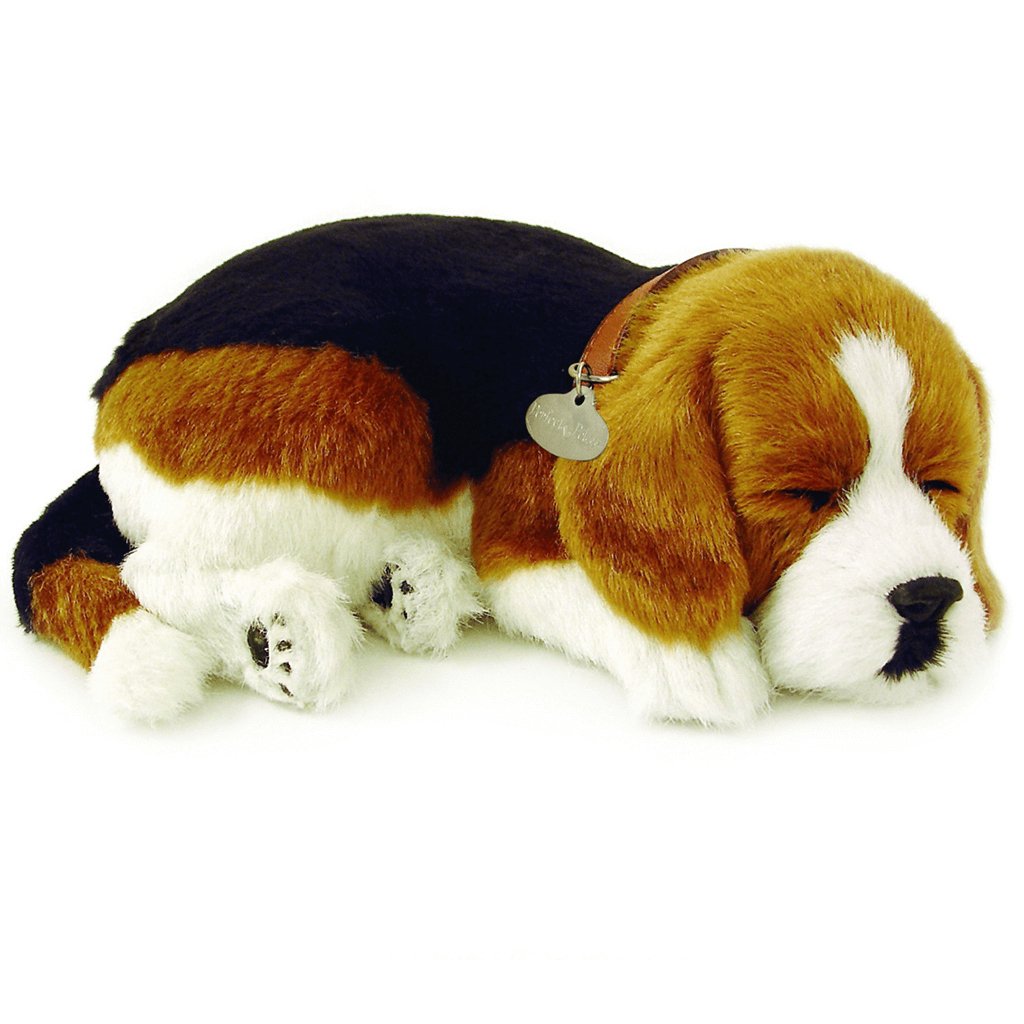 Beagle Soft Bundle - Senior Style