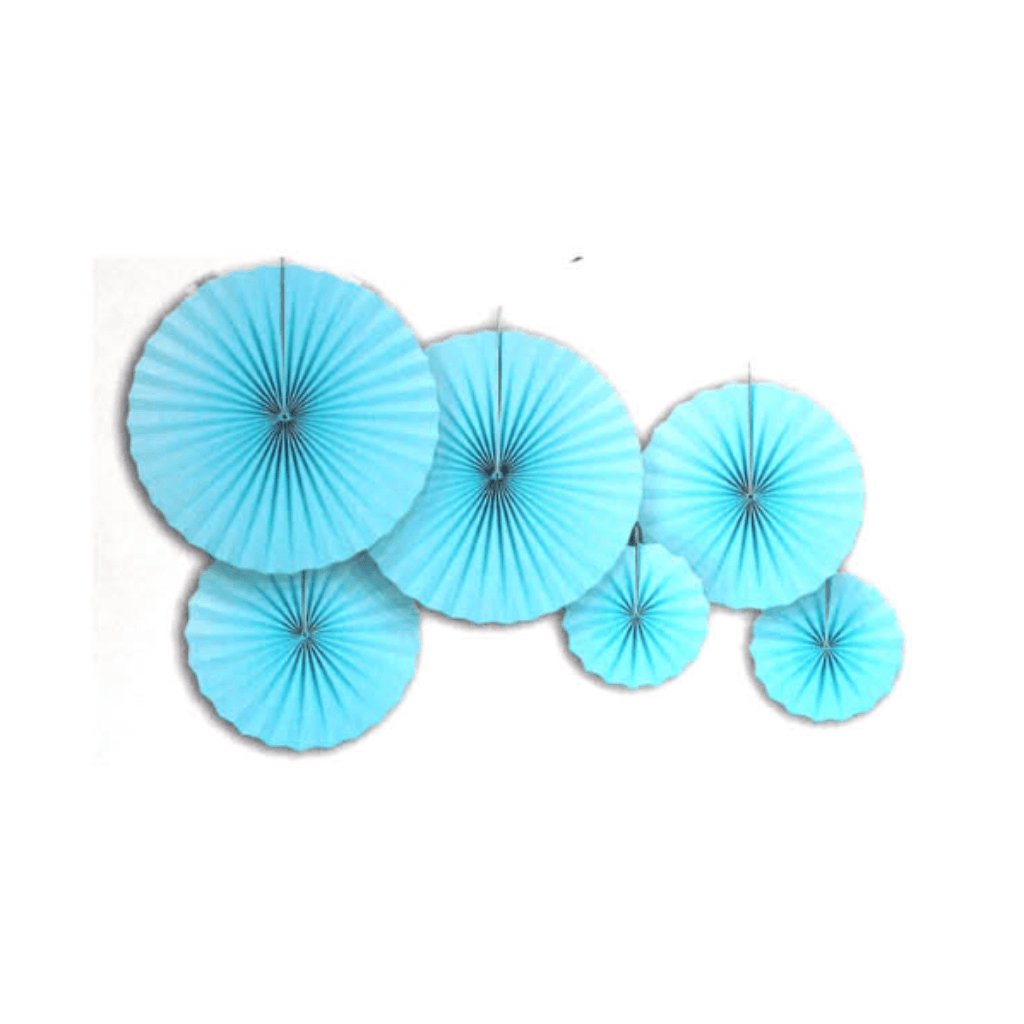 Blue Decoration Fans - Senior Style