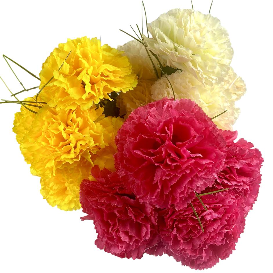 Bunch of Large Headed Carnations - Senior Style