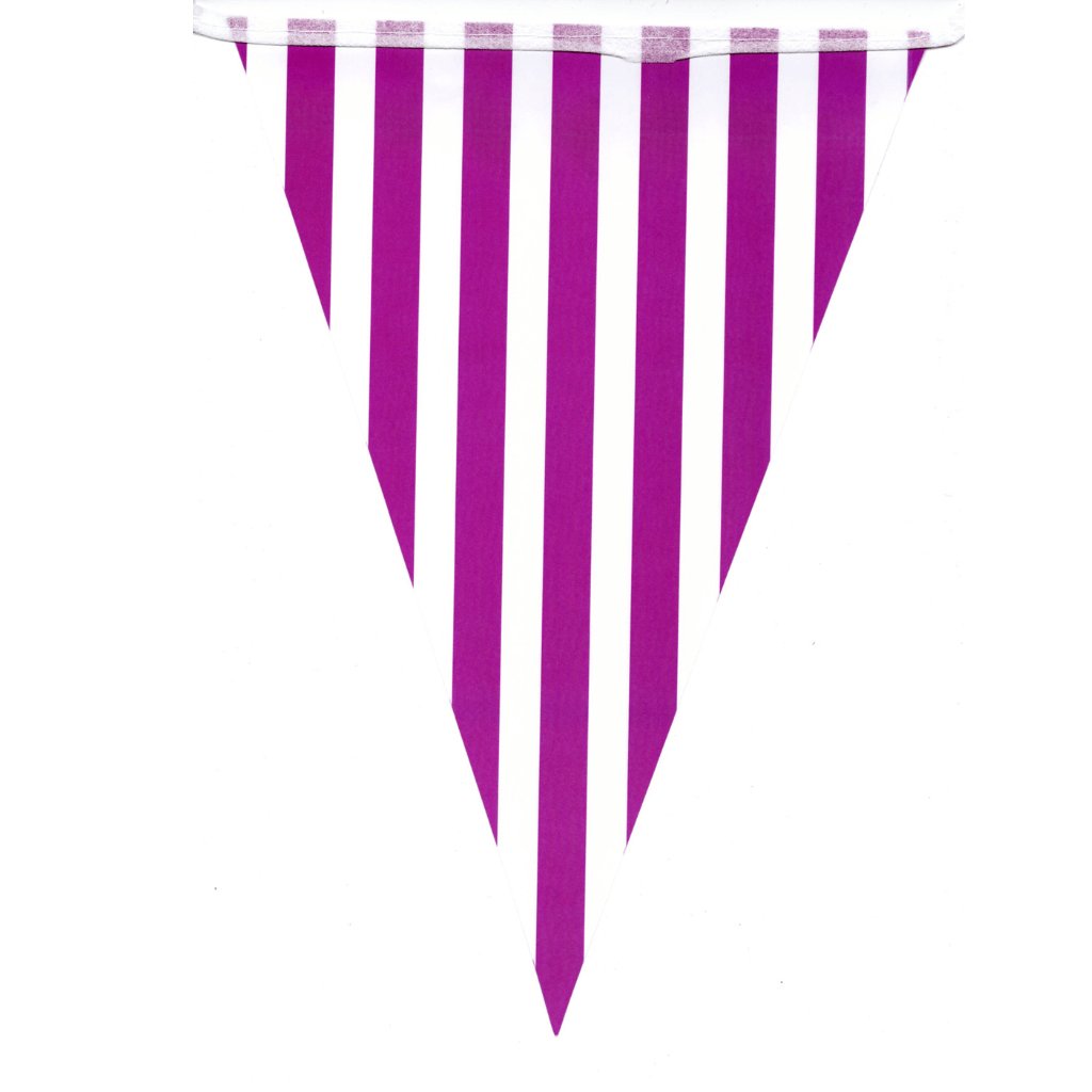 Bunting Flags Stripe Purple - Senior Style