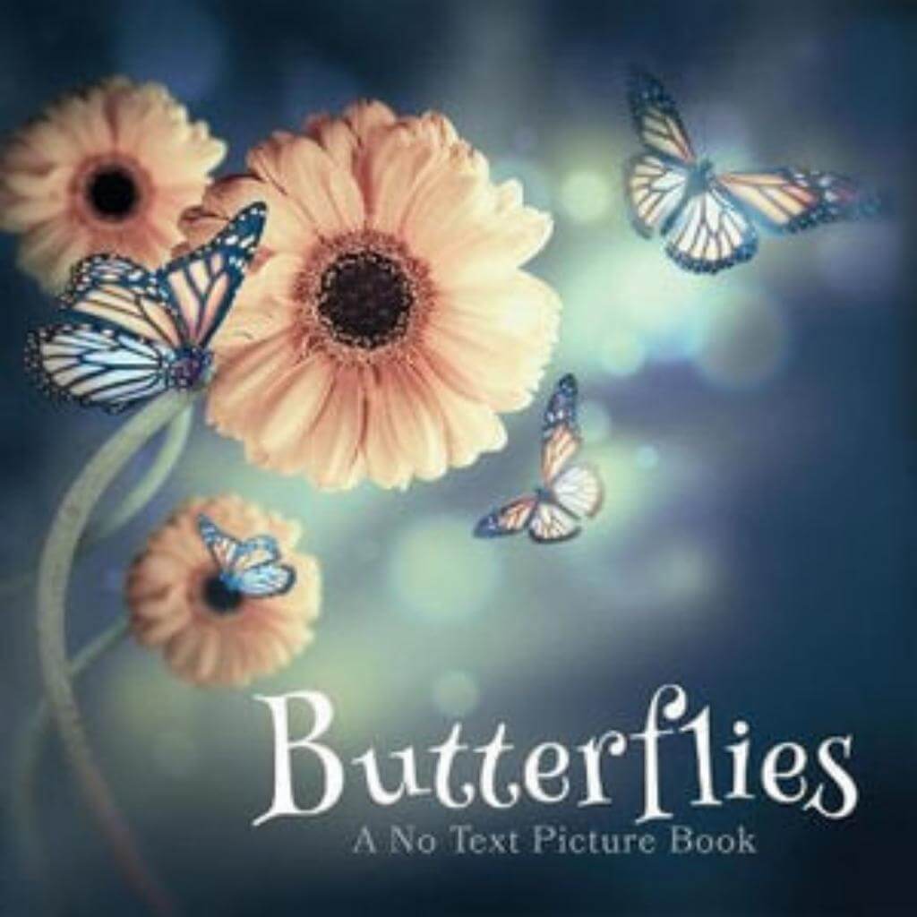 Butterflies - A No Text Picture Book - Senior Style