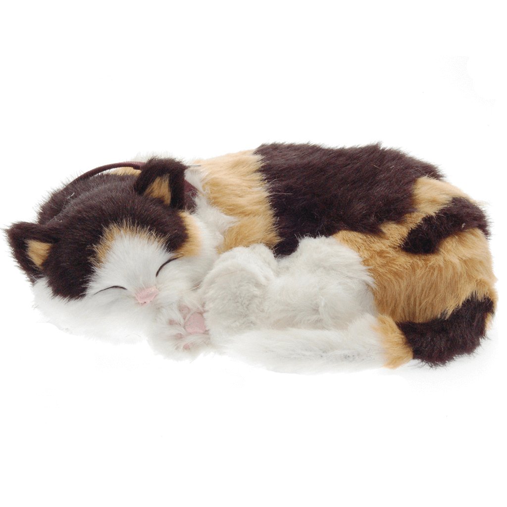 Calico Cat Soft Bundle - Senior Style