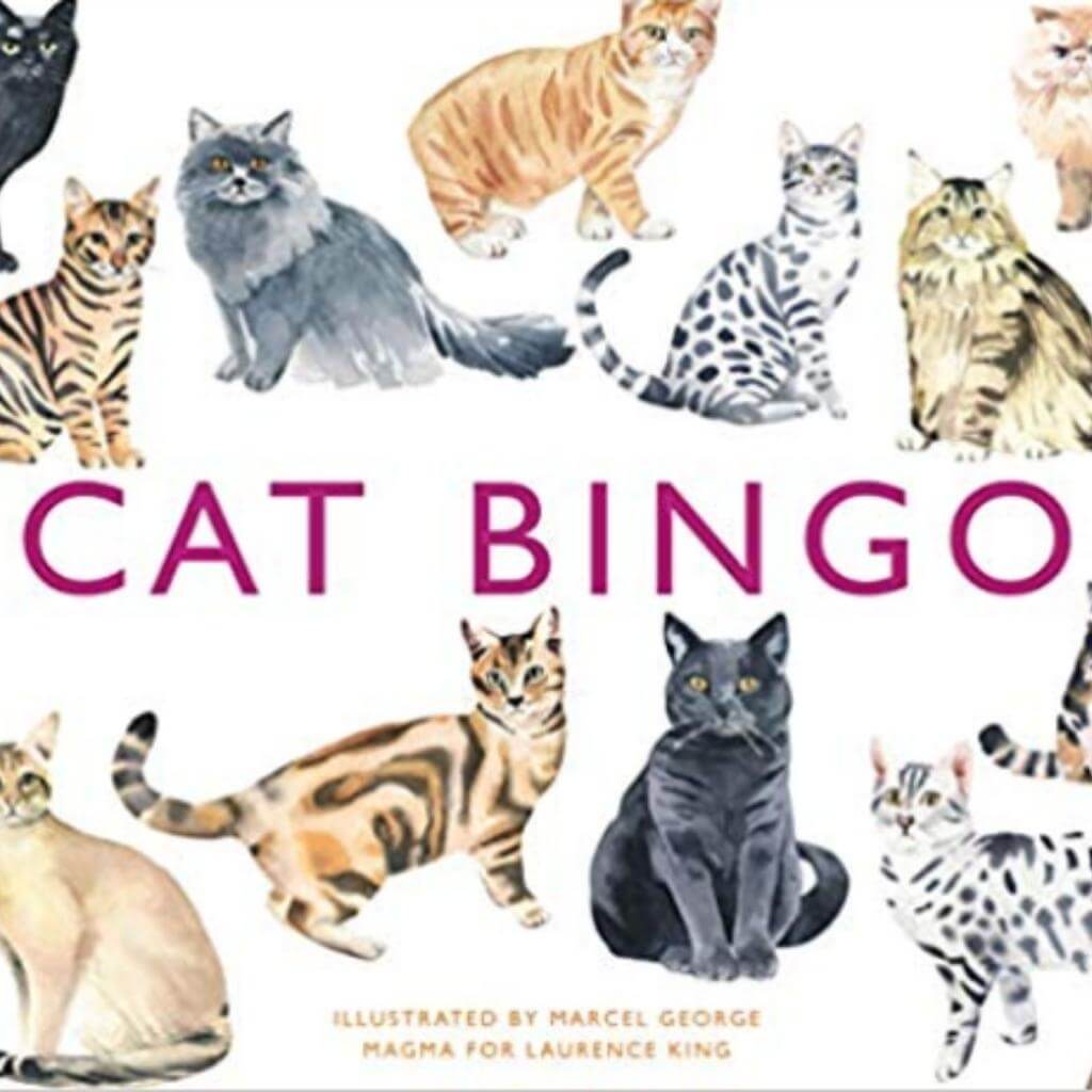 Cat Bingo - Senior Style