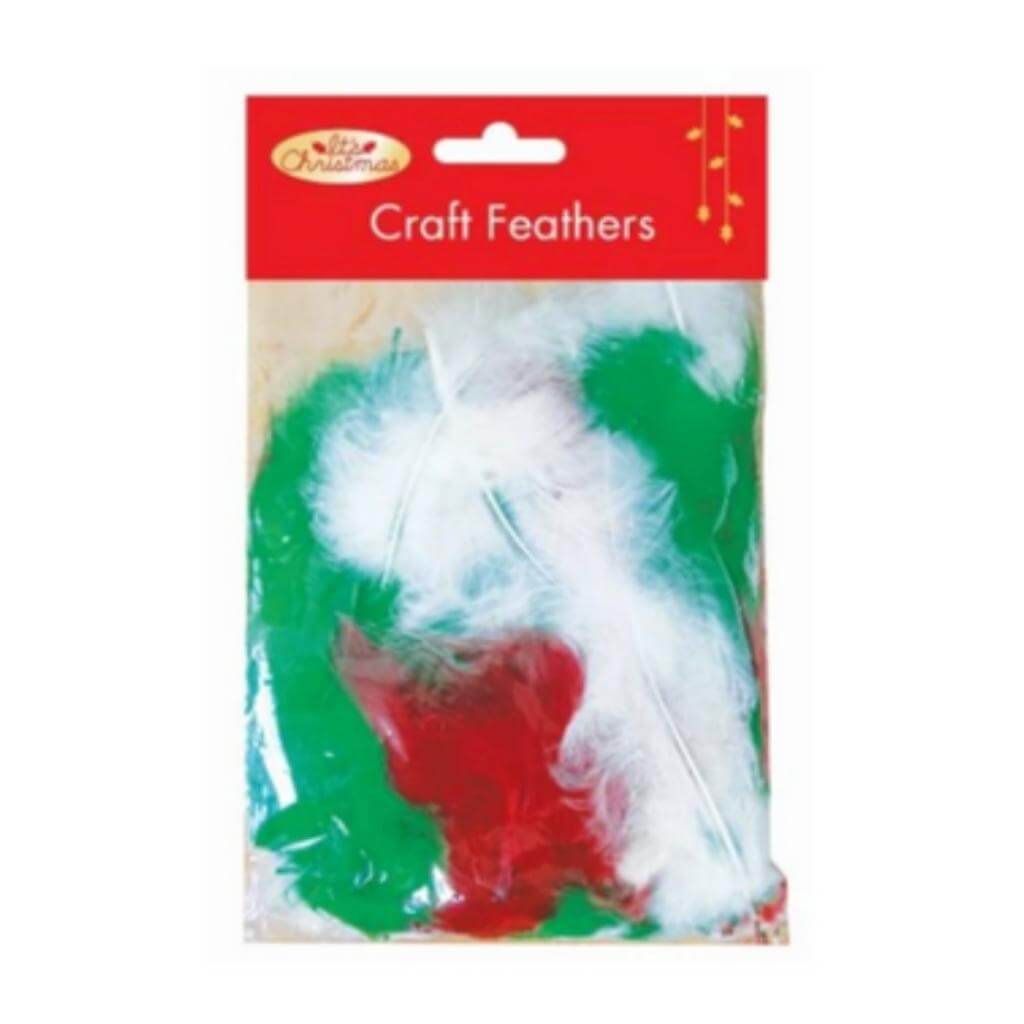 Christmas Craft Feathers - Senior Style