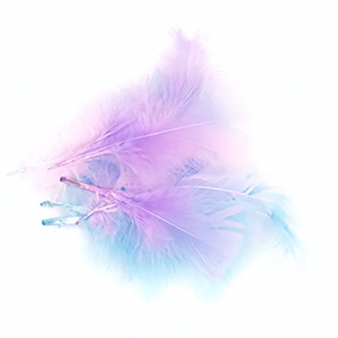 Feathers Pink Blue Lilac - Senior Style