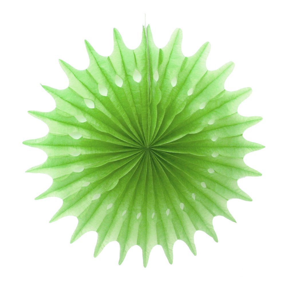 Light Green Decorative Fan 30cm - Senior Style