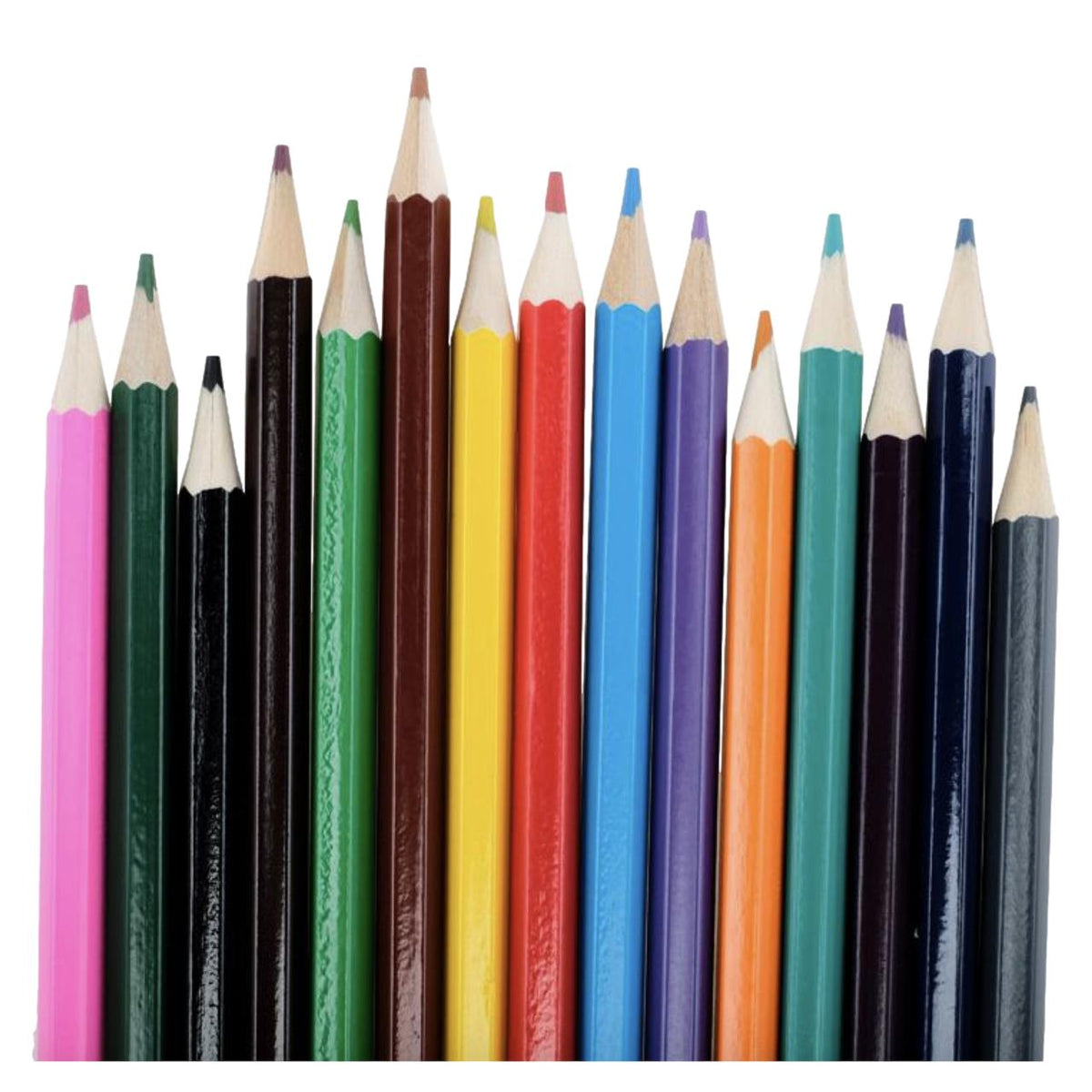 Pack of 15 Coloured Pencils - Senior Style