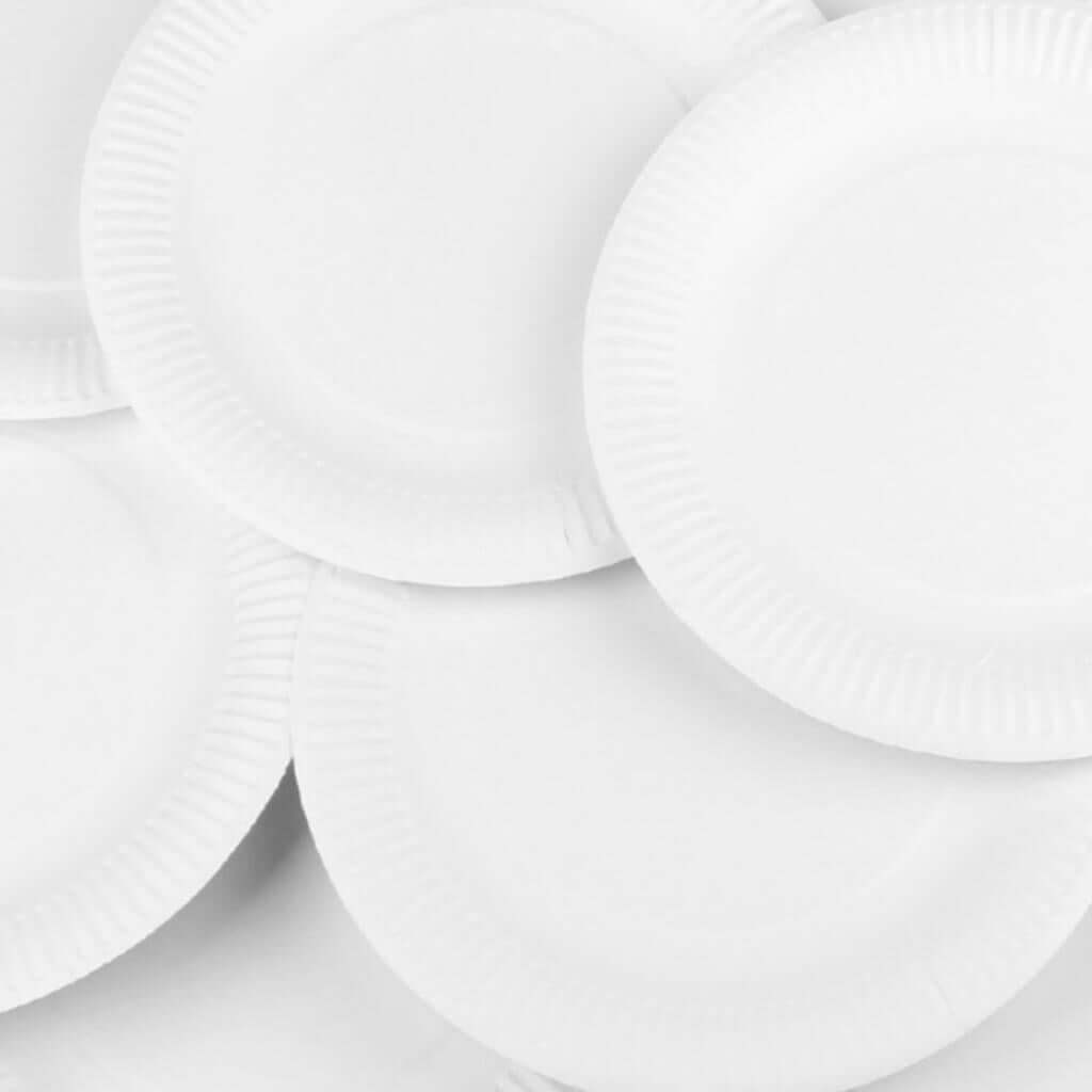 Paper Plates Pack of 100 - Senior Style