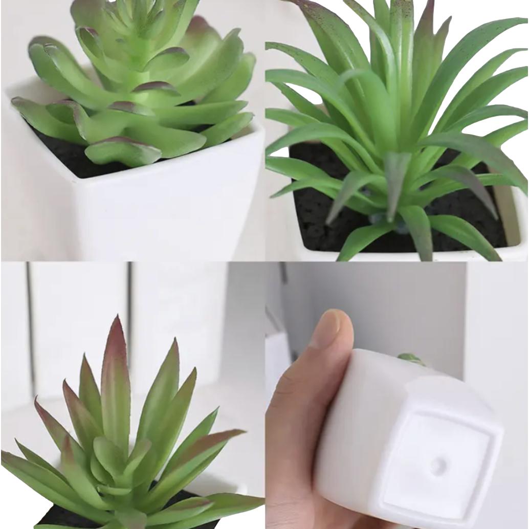 Decorative Miniature Pot Plant