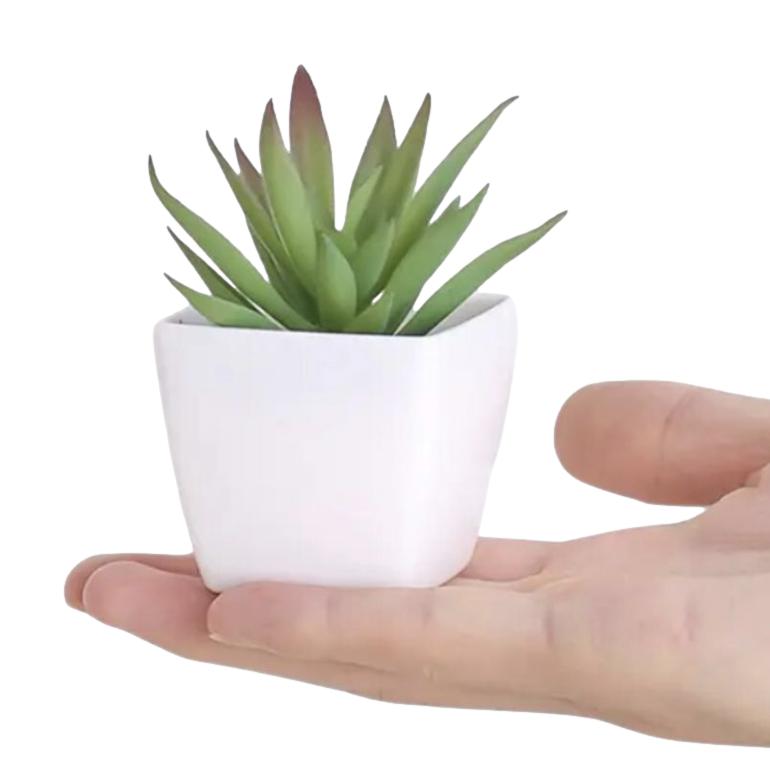 Decorative Miniature Pot Plant