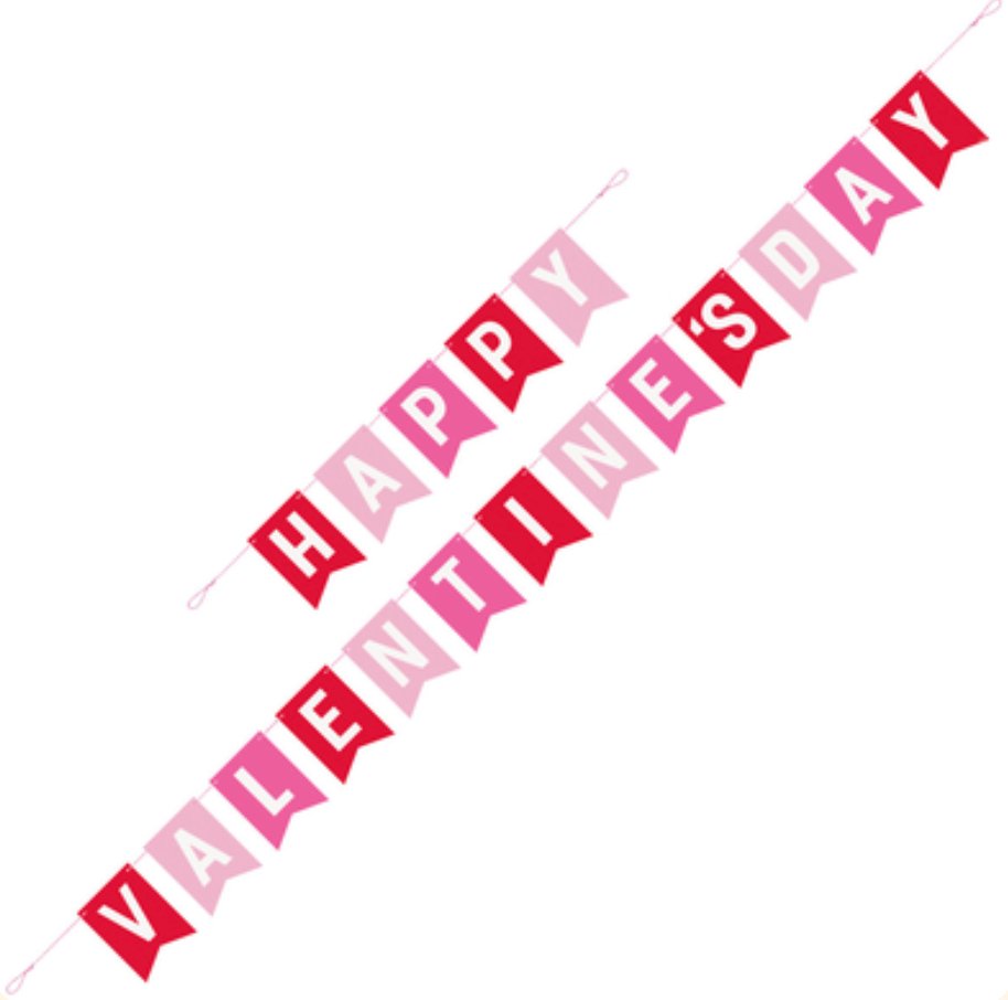 Red and Pink Happy Valentine's Day Pennant Banner - Senior Style