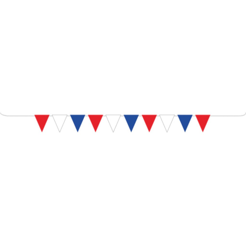 Red, White and Blue Pennant Banner - Senior Style