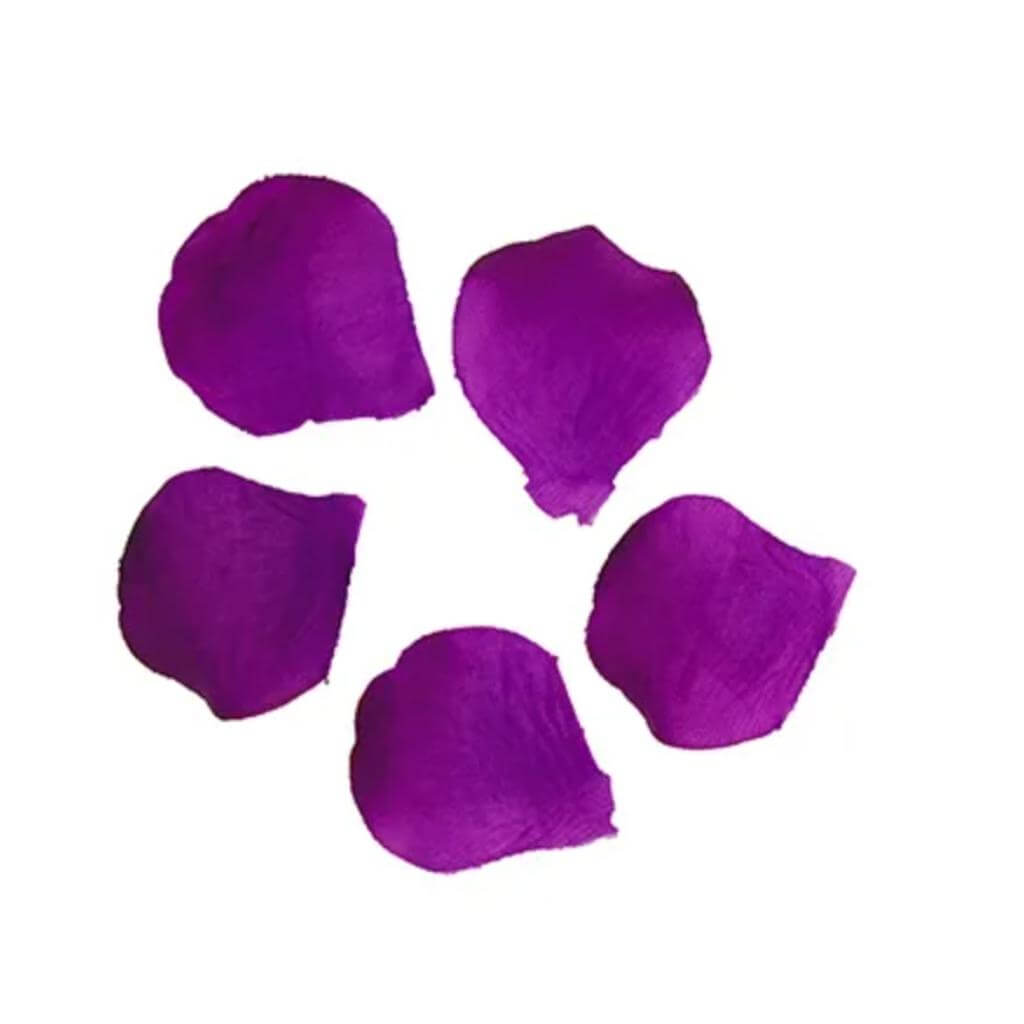 Rose Petals Purple 145Pcs - Senior Style