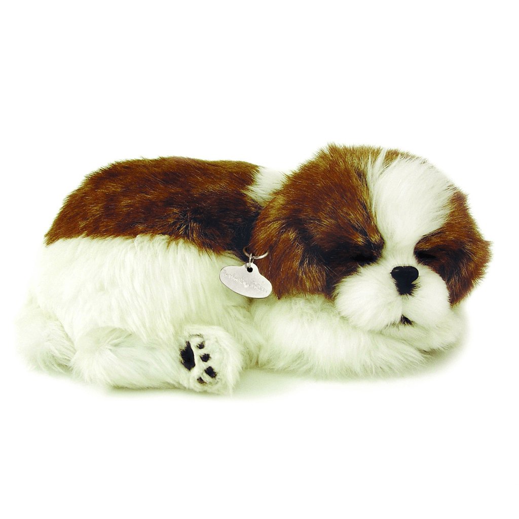 Shih Tzu Soft Bundle - Senior Style