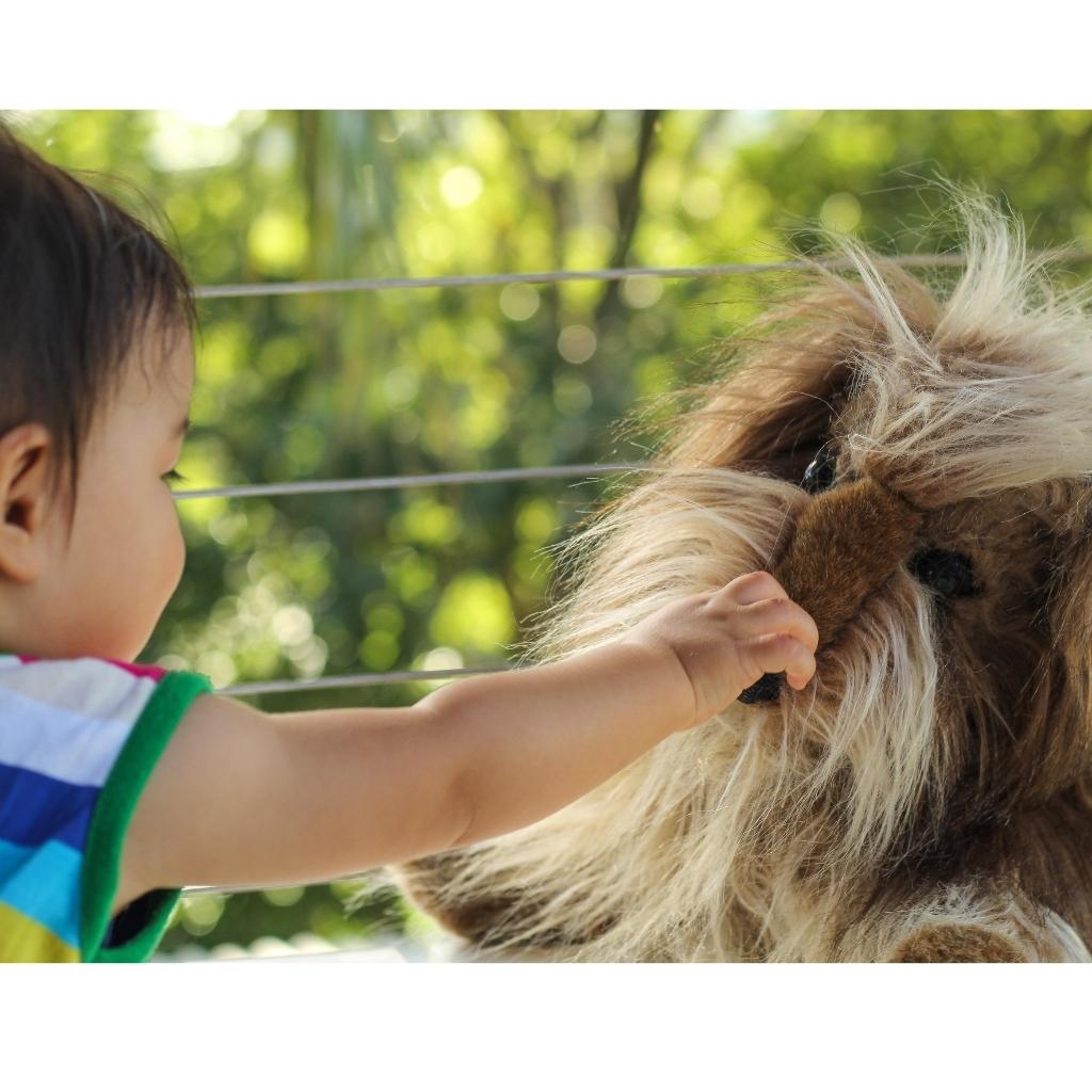 Shaggy sales dog puppet